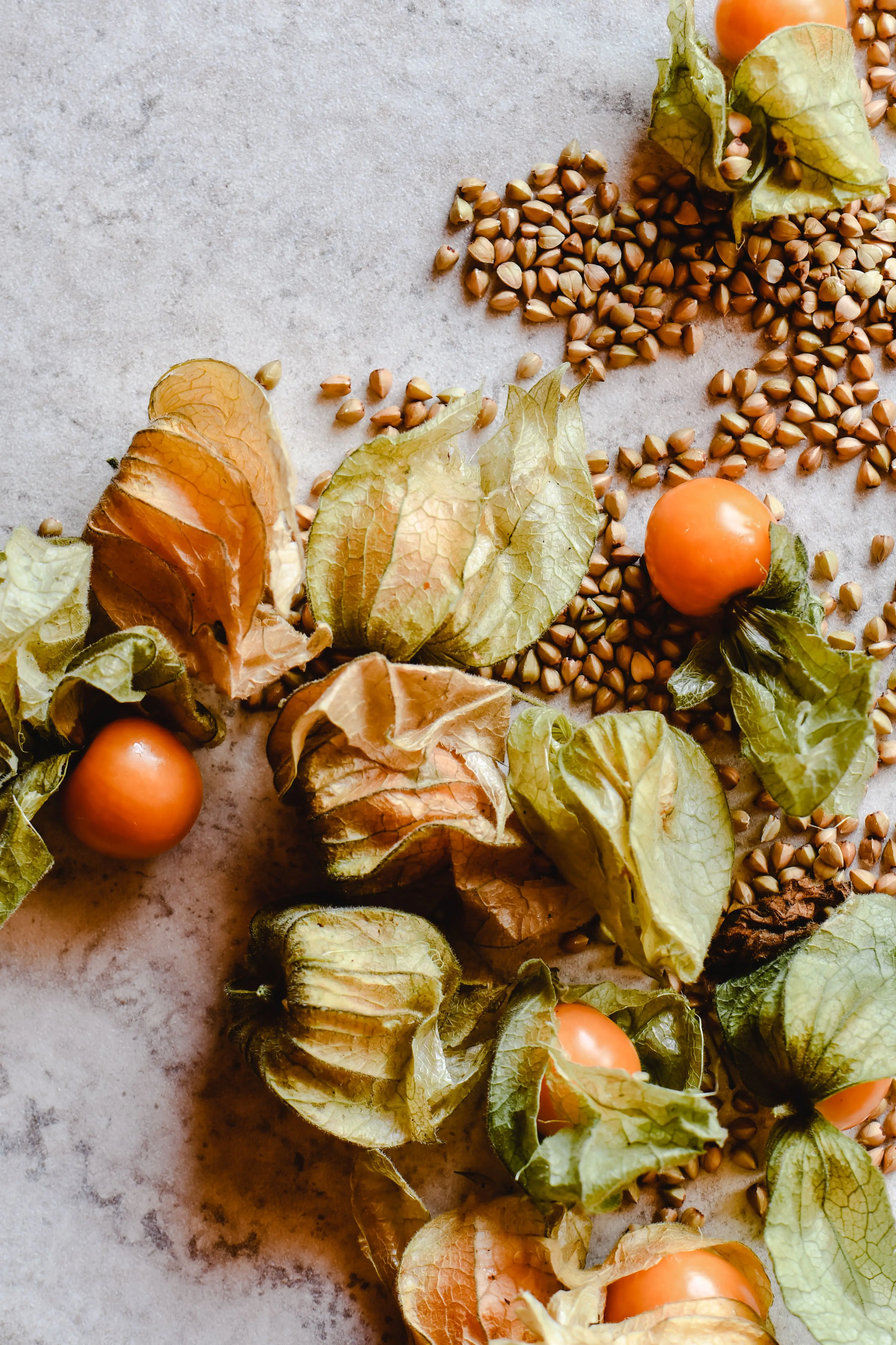 Ashwagandha Extract